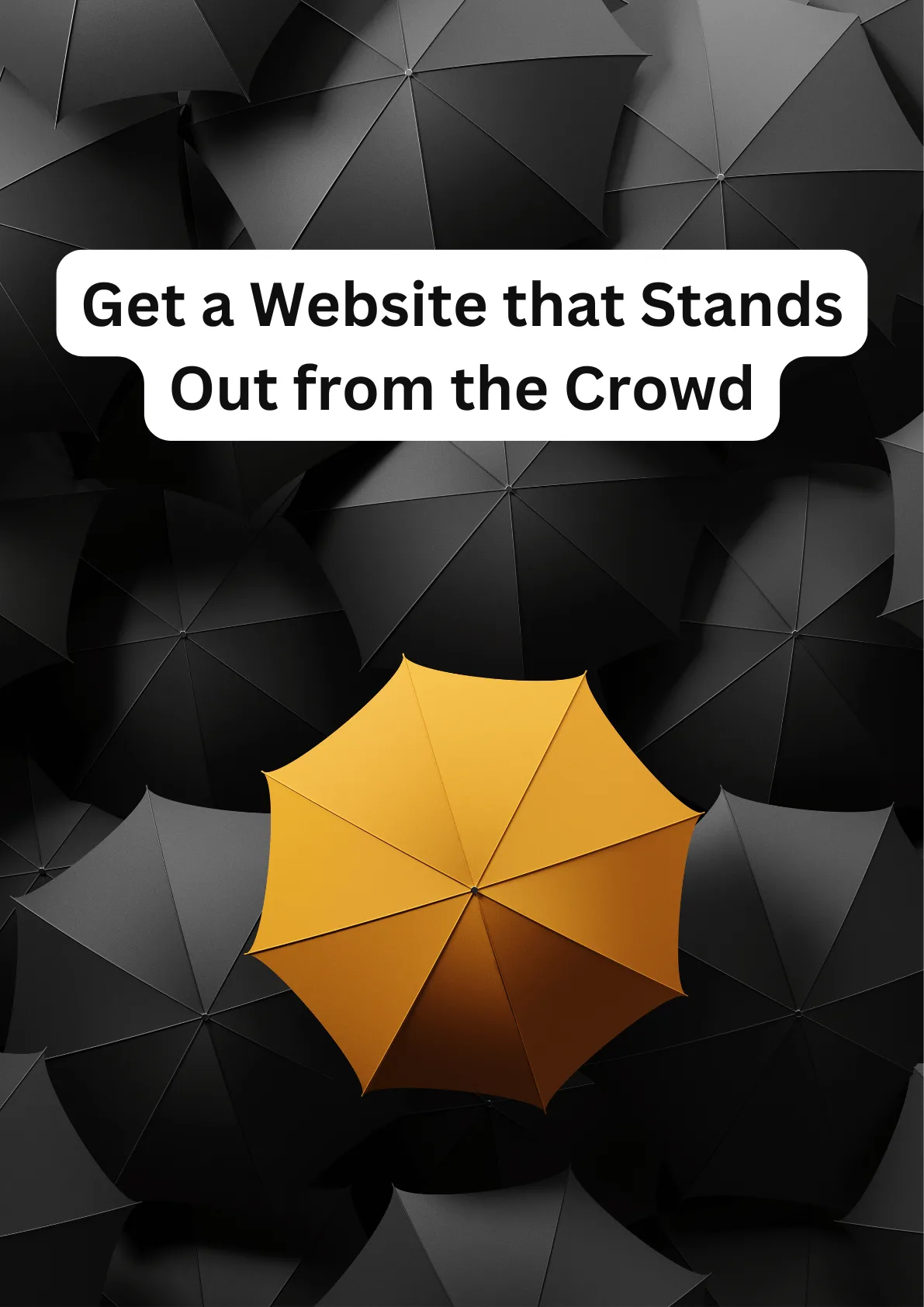 Get a Website that Stands Out from the Crowd